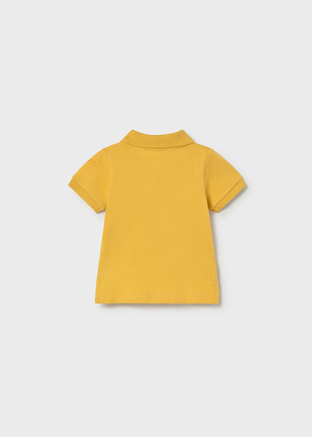 Polo M/c