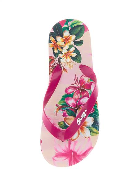 INFRADITO GUESS