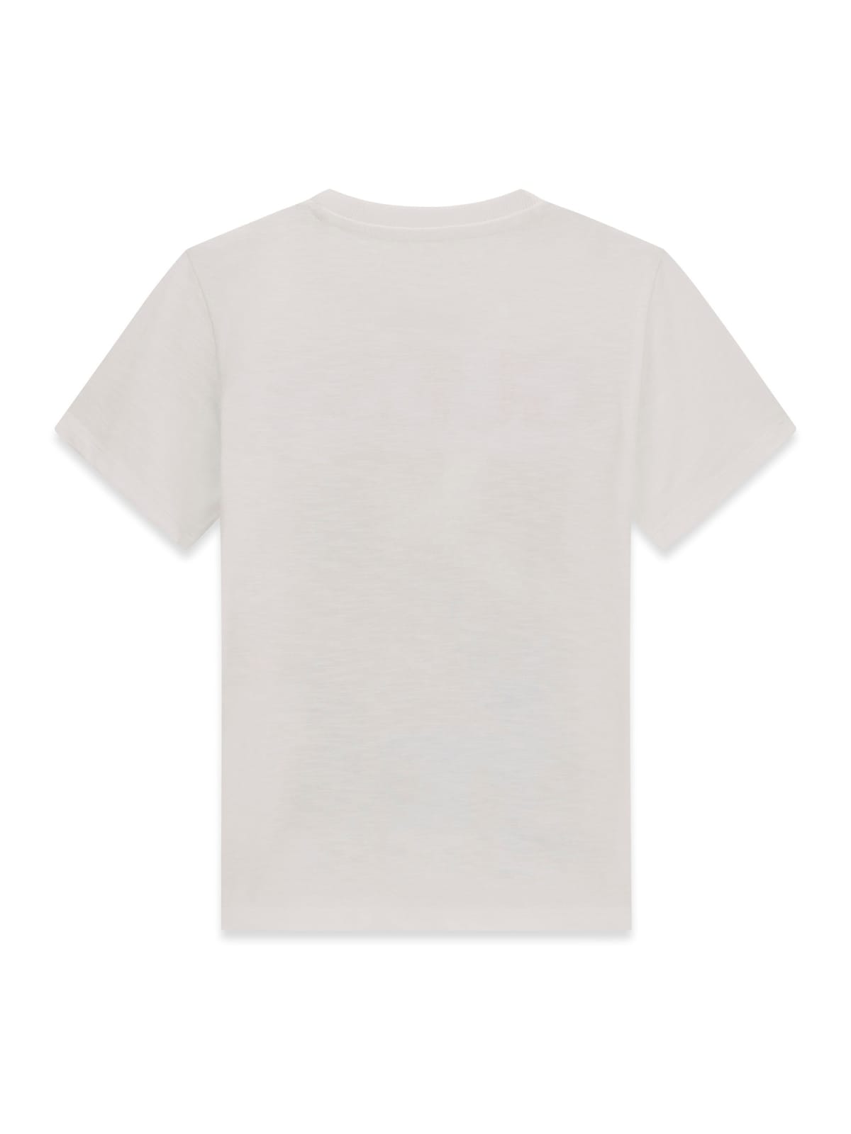 T-shirt M/c