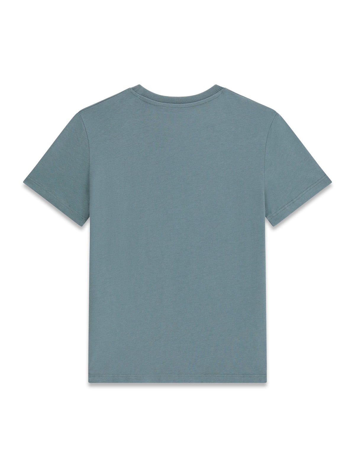 T-shirt M/c